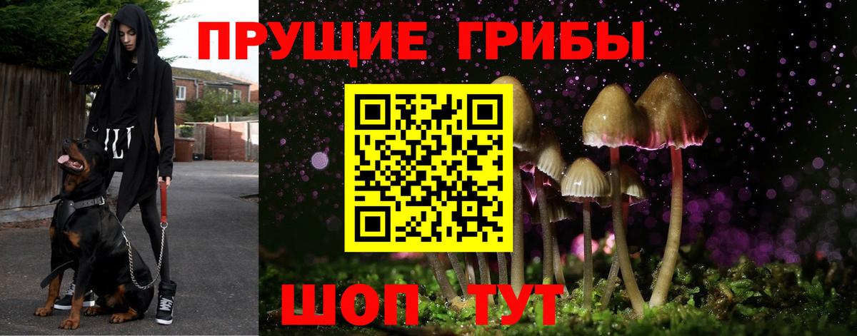 Галлюциногенные грибы MAGIC MUSHROOMS  Вход с VPN  Шатура 